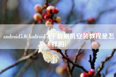 android5.0(Android50下载刷机安装教程是怎样的)