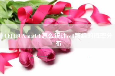 CELLFUN,matlab怎么统计cell数组的概率分布