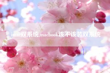 imac双系统,macbook该不该装双系统