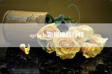 agens b,如何规划行程