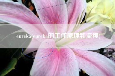 eureka(eureka的工作原理和流程)