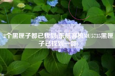 2个黑匣子都已找到(东航客机MU5735黑匣子已找到一部)