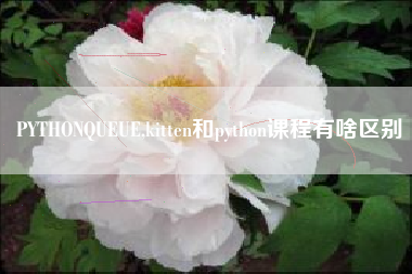 PYTHONQUEUE,kitten和python课程有啥区别