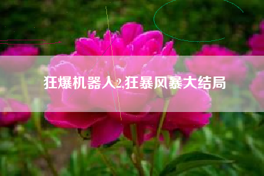 狂爆机器人2,狂暴风暴大结局
