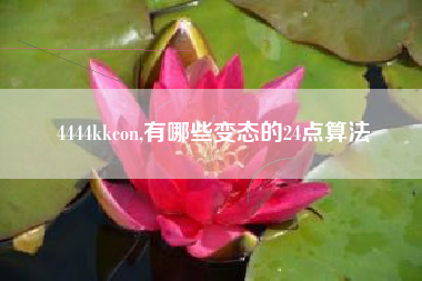 4444kkcon,有哪些变态的24点算法