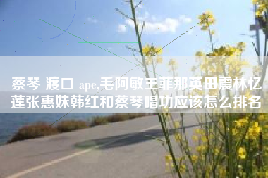 蔡琴 渡口 ape,毛阿敏王菲那英田震林忆莲张惠妹韩红和蔡琴唱功应该怎么排名