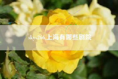 sky-266,上海有哪些剧院