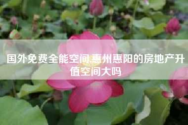 国外免费全能空间,惠州惠阳的房地产升值空间大吗