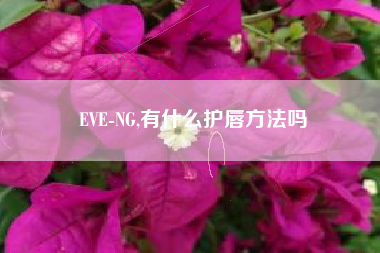 EVE-NG,有什么护唇方法吗
