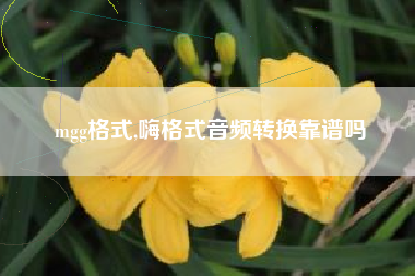mgg格式,嗨格式音频转换靠谱吗