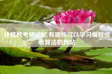 计算机考研论坛,有哪些可以学习编程或者算法的网站
