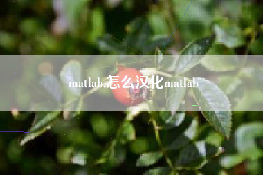 matlab,怎么汉化matlab