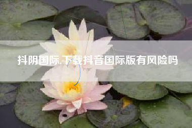 抖阴国际,下载抖音国际版有风险吗