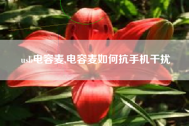 usb电容麦,电容麦如何抗手机干扰