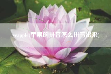 yeapple(苹果的拼音怎么拼写出来)