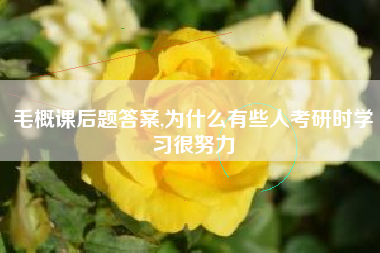 毛概课后题答案,为什么有些人考研时学习很努力