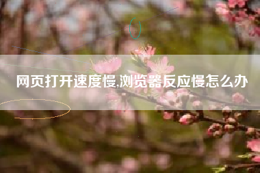 网页打开速度慢,浏览器反应慢怎么办