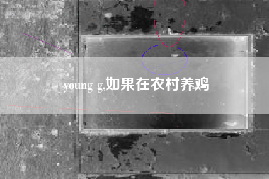 young g,如果在农村养鸡