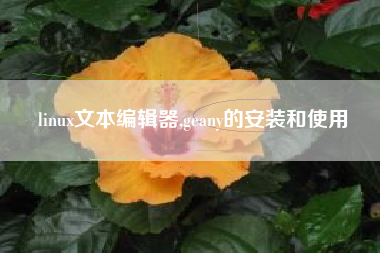 linux文本编辑器,geany的安装和使用