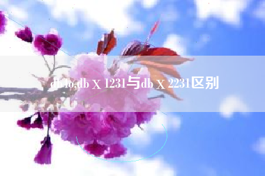 db4o,dbⅹ1231与dbⅹ2231区别