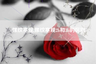 螺纹塞规,螺纹塞规2b和3b的区别