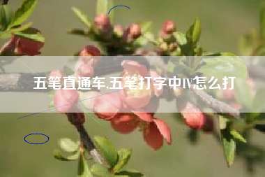 五笔直通车,五笔打字中IV怎么打