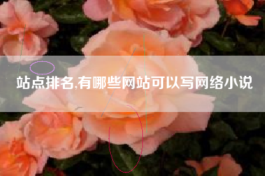 站点排名,有哪些网站可以写网络小说