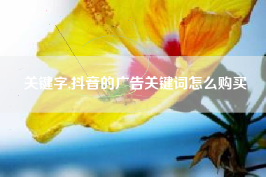 关键字,抖音的广告关键词怎么购买