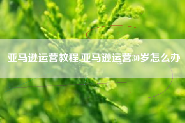 亚马逊运营教程,亚马逊运营30岁怎么办