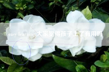 easy learning,大家觉得孩子上了有用吗