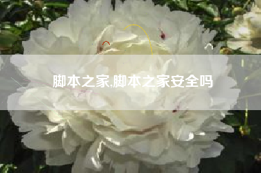 脚本之家,脚本之家安全吗