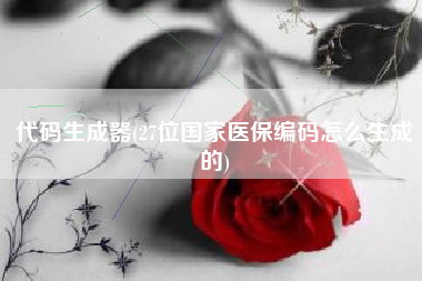 代码生成器(27位国家医保编码怎么生成的)