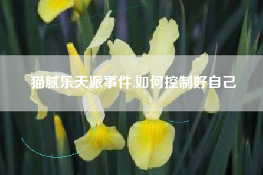 猫腻乐天派事件,如何控制好自己