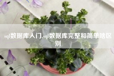sql数据库入门,sql数据库完整和简单啥区别