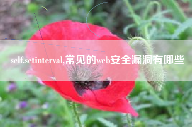self.setinterval,常见的web安全漏洞有哪些