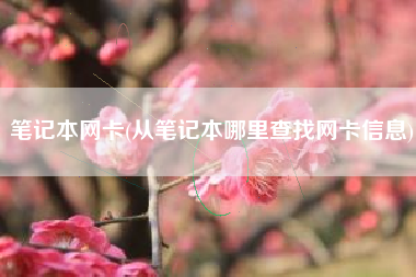 笔记本网卡(从笔记本哪里查找网卡信息)