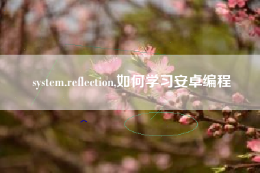 system.reflection,如何学习安卓编程