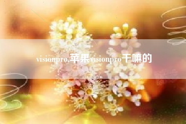 visionpro,苹果visionpro干嘛的