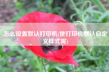 怎么设置默认打印机(使打印机默认自定义样式呢)