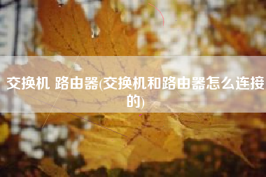 交换机 路由器(交换机和路由器怎么连接的)