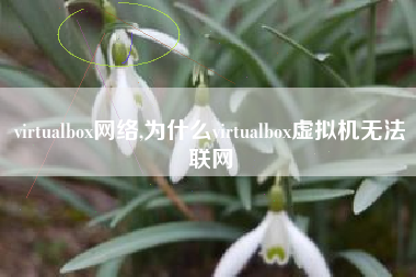 virtualbox网络,为什么virtualbox虚拟机无法联网