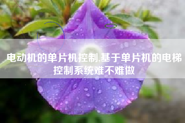 电动机的单片机控制,基于单片机的电梯控制系统难不难做