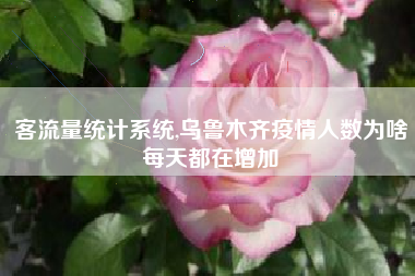 客流量统计系统,乌鲁木齐疫情人数为啥每天都在增加