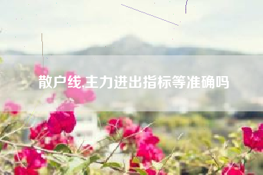 散户线,主力进出指标等准确吗