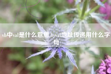 vb中val是什么意思,byval地址传递用什么字母