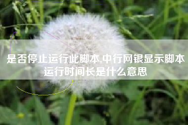 是否停止运行此脚本,中行网银显示脚本运行时间长是什么意思