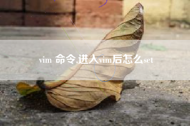 vim 命令,进入vim后怎么set