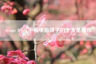 venue 8 pro,平板电脑牌子的十大是哪些