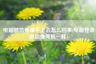 电脑微信登录不上去怎么回事(电脑登录微信像死机一样)