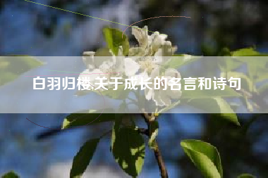 白羽归楼,关于成长的名言和诗句